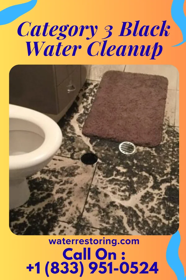Category 3 Black Water Cleanup in Lupus, MO