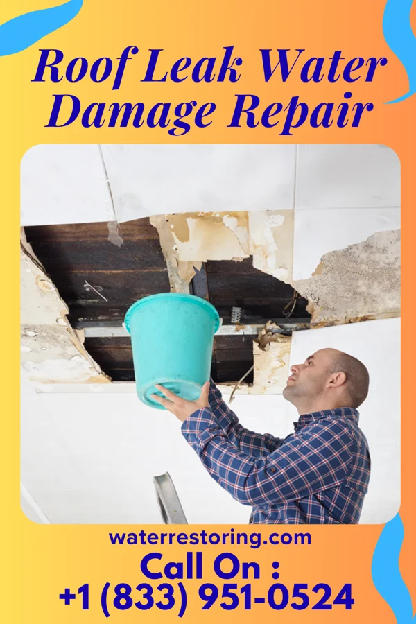 Roof Leak Water Damage Repair in Lupus, MO