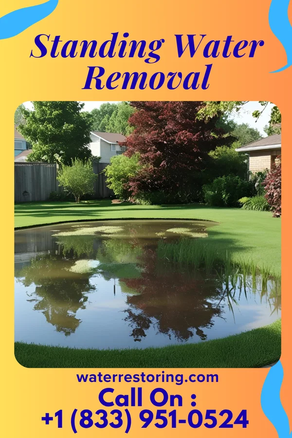 Standing Water Removal in Lupus, MO